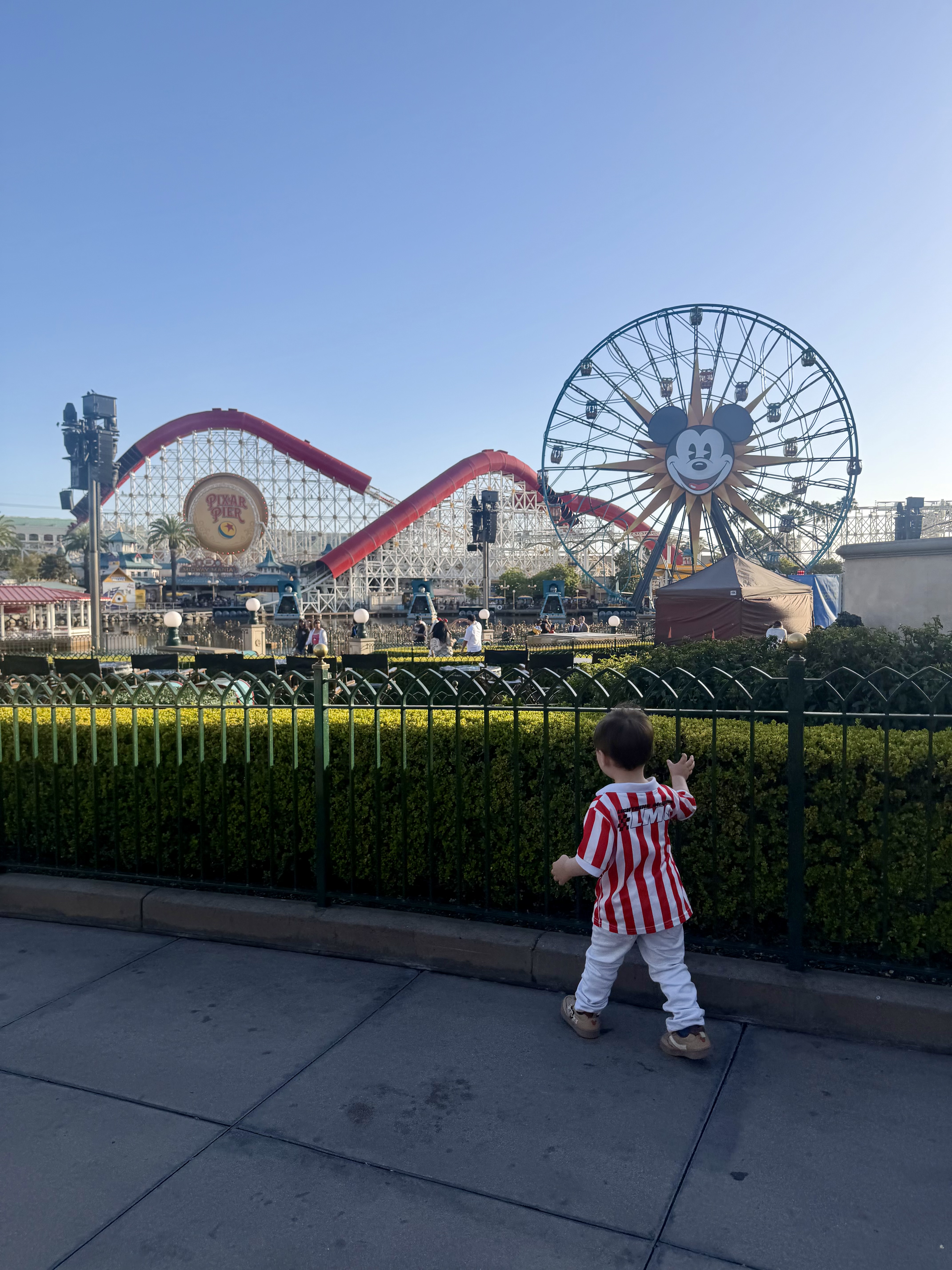 Disneyland Toddler Hacks